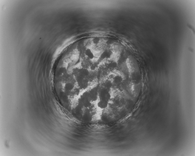 X0000099310343200805301159