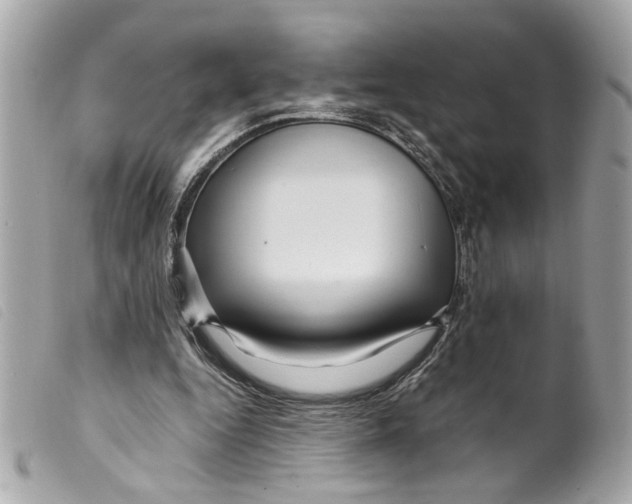 X0000099310344200805301159