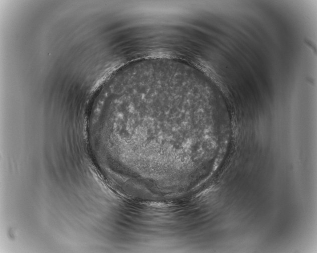 X0000099310347200805301159