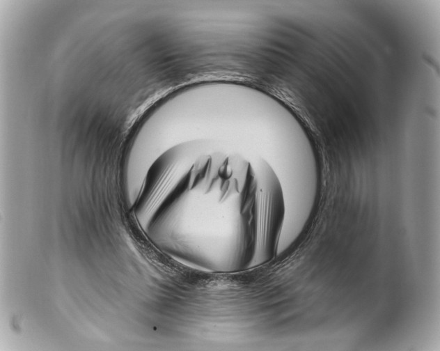 X0000099310348200805301159