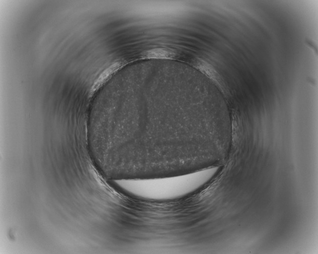 X0000099310349200805301159