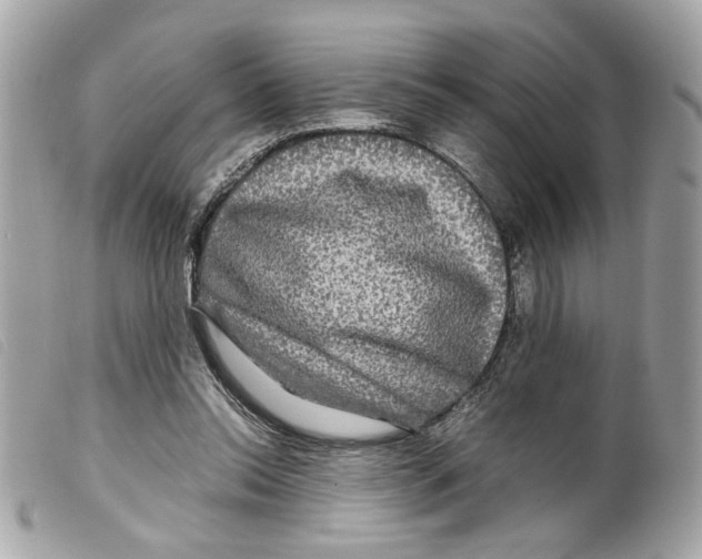 X0000099310350200805301159