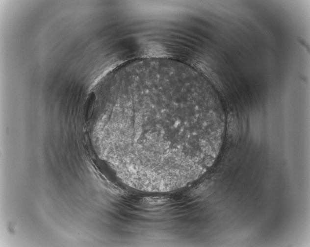X0000099310351200805301159