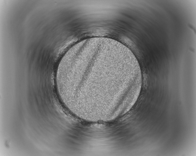 X0000099310354200805301159