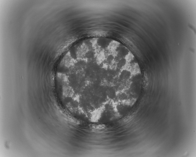 X0000099310355200805301159