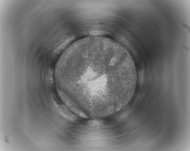 X0000099310356200805301159