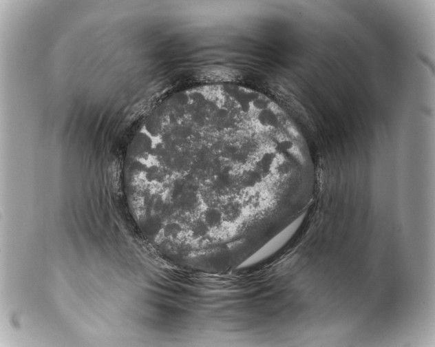 X0000099310359200805301159