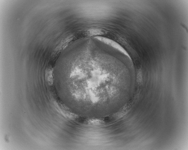 X0000099310360200805301159