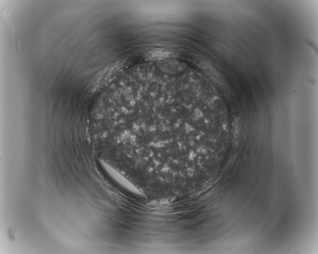 X0000099310361200805301159