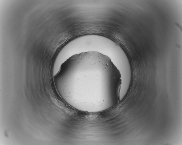 X0000099310362200805301159