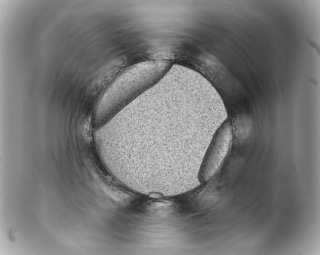 X0000099310364200805301159