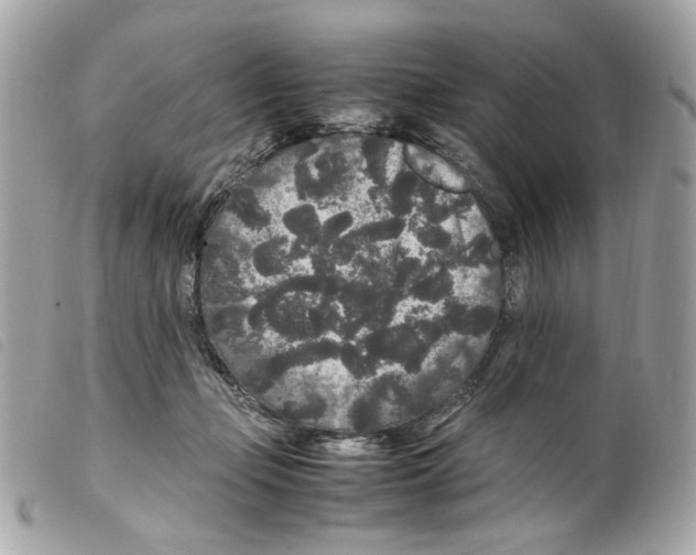 X0000099310365200805301159
