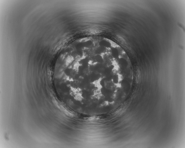 X0000099310366200805301159