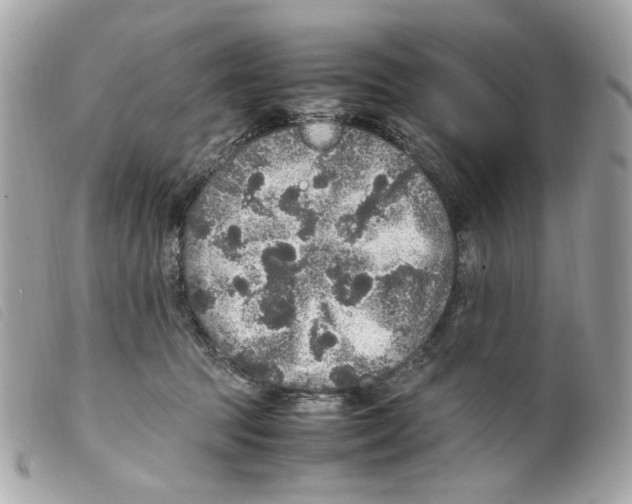 X0000099310369200805301159