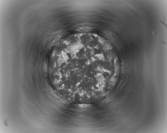 X0000099310371200805301159