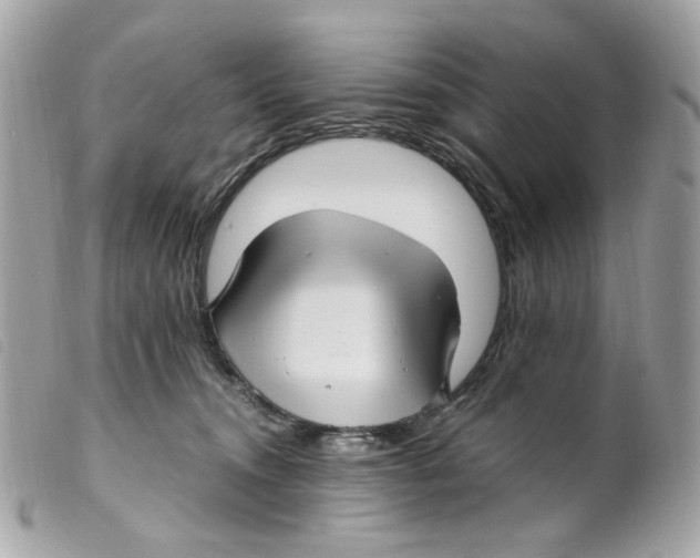 X0000099310372200805301159