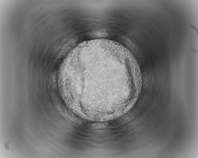 X0000099310373200805301159