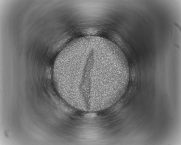 X0000099310374200805301159