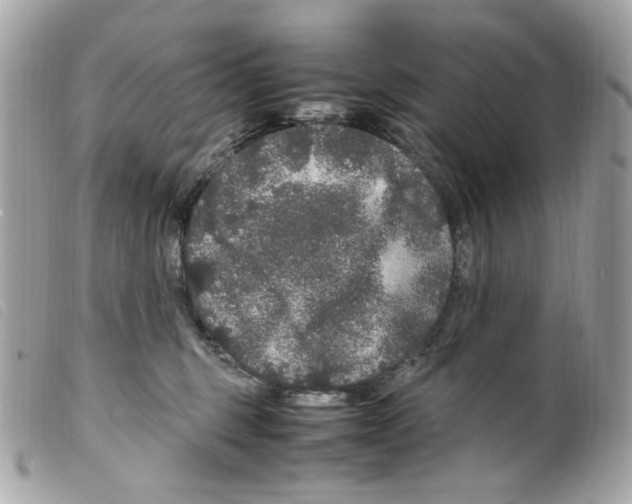 X0000099310375200805301159