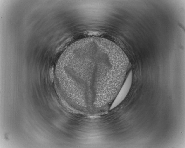 X0000099310376200805301159