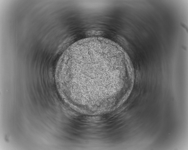 X0000099310377200805301159