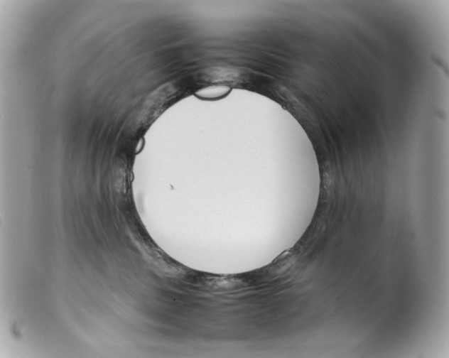 X0000099310379200805301159