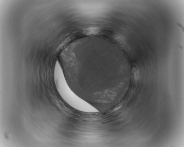 X0000099310380200805301159