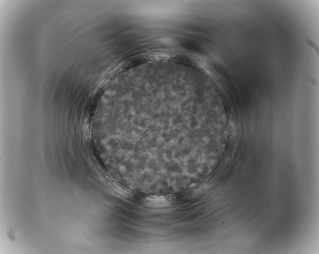 X0000099310381200805301159