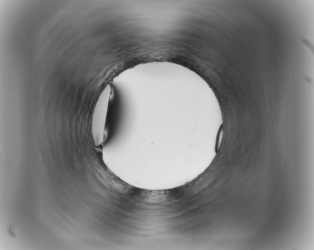 X0000099310384200805301159