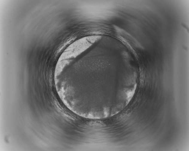 X0000099310386200805301159