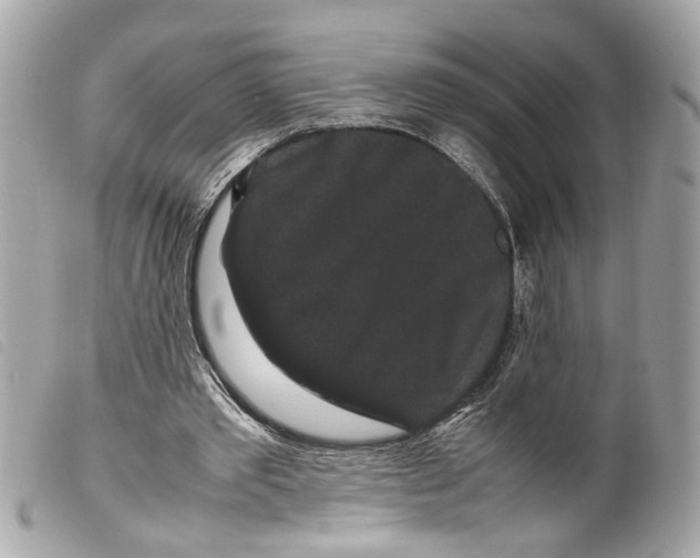 X0000099310389200805301159