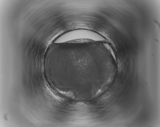 X0000099310390200805301159