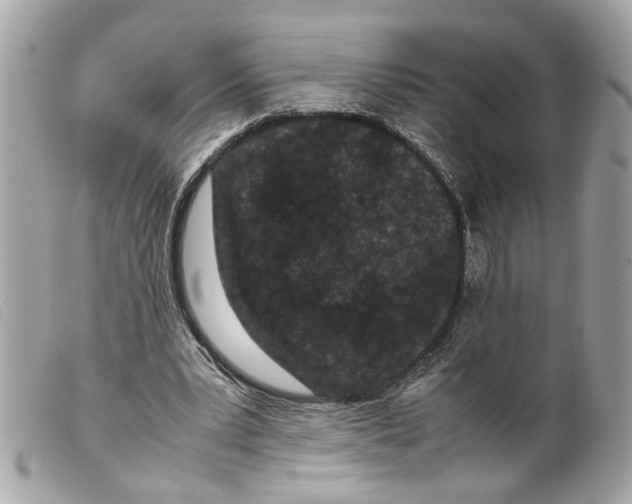 X0000099310391200805301159