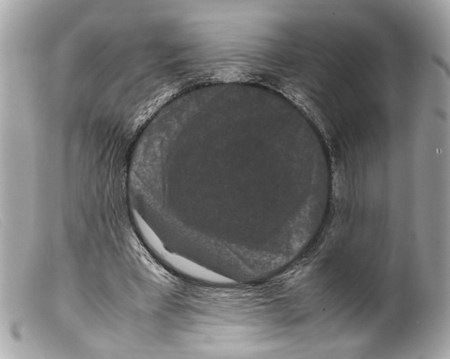 X0000099310393200805301159