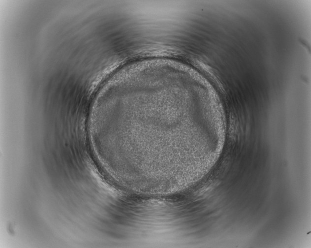 X0000099310394200805301158