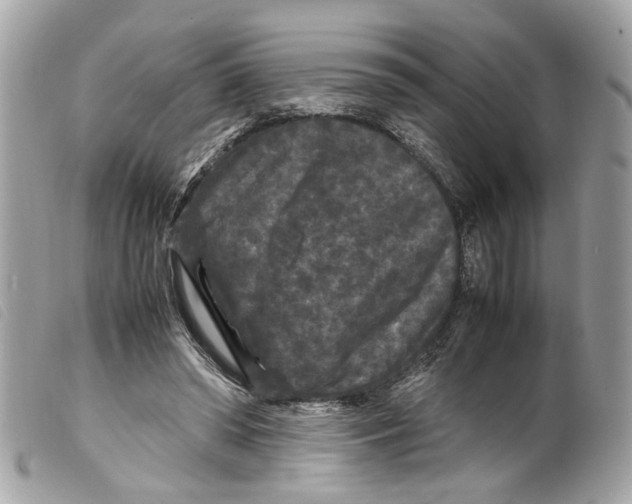 X0000099310398200805301158