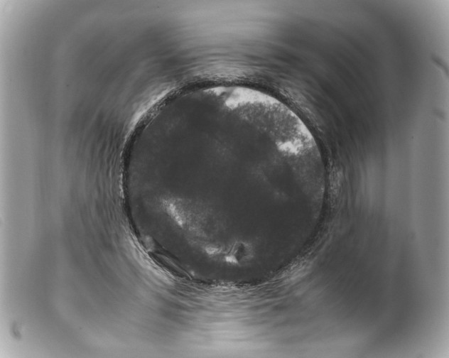 X0000099310399200805301158