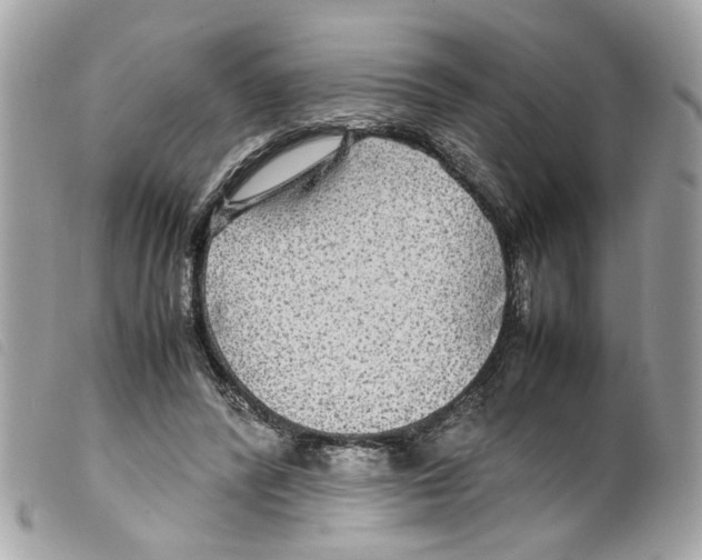 X0000099310400200805301158