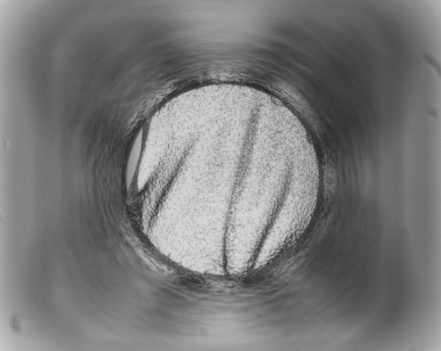X0000099310401200805301158