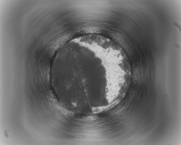 X0000099310402200805301158