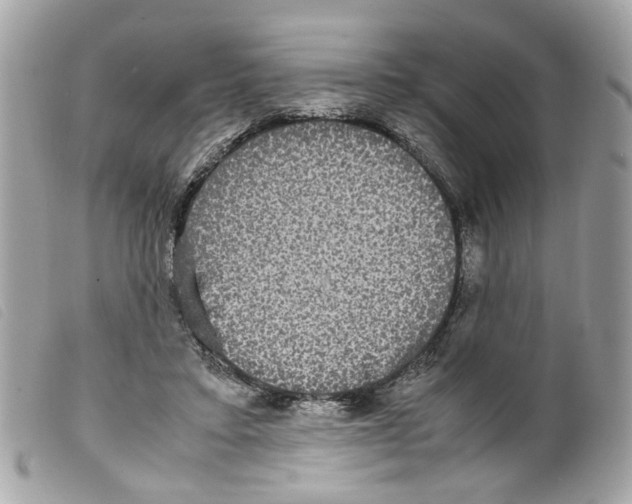 X0000099310403200805301158
