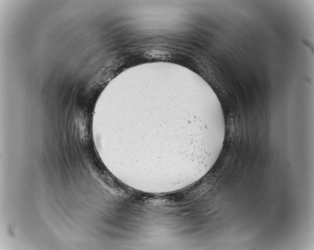 X0000099310408200805301158