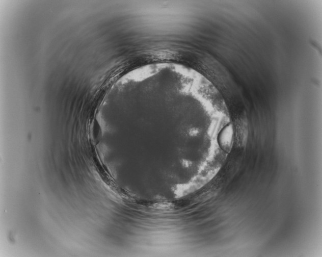 X0000099310410200805301158