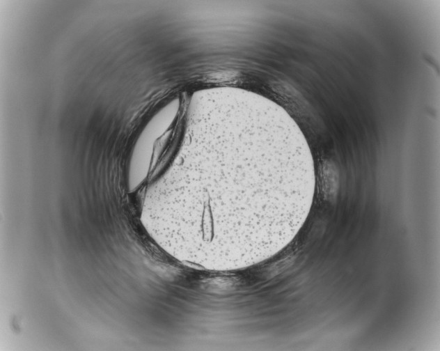 X0000099310412200805301158