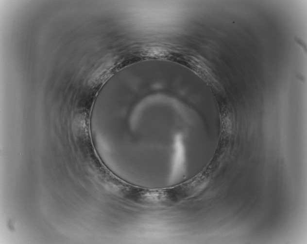 X0000099310415200805301158