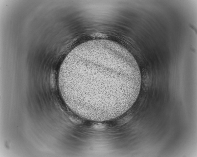 X0000099310416200805301158