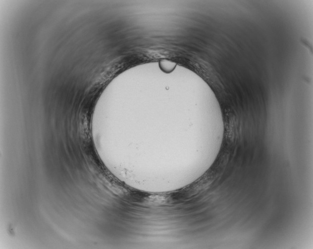 X0000099310418200805301158