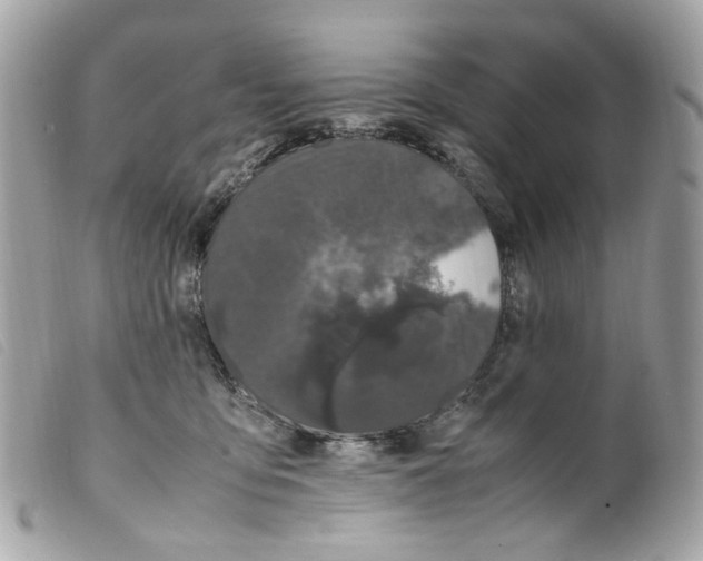 X0000099310419200805301158
