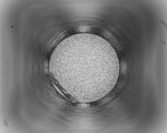 X0000099310421200805301158