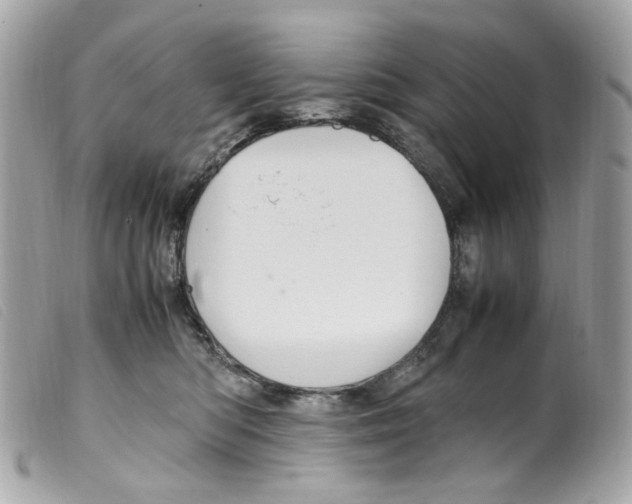 X0000099310422200805301158